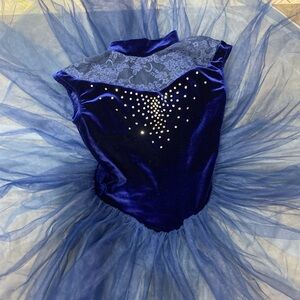 Blue Velvet Ballet Costume